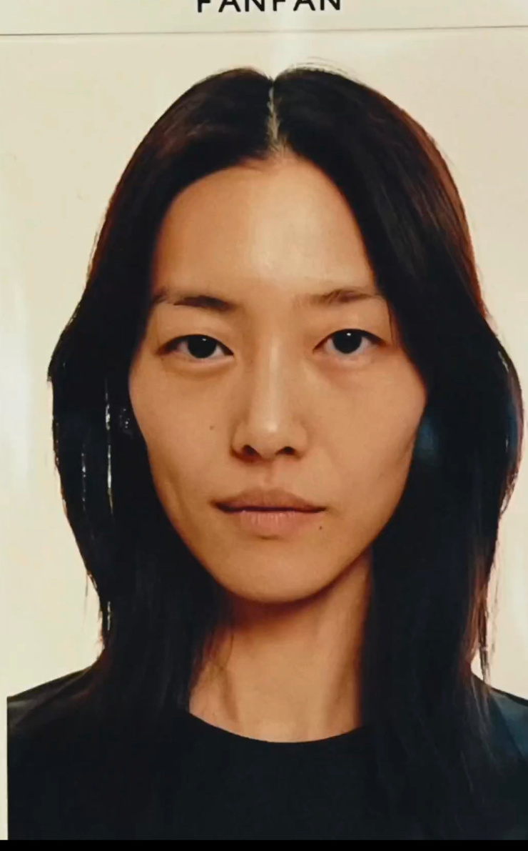 Liu Wen