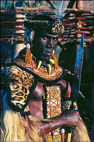 Henry Cele