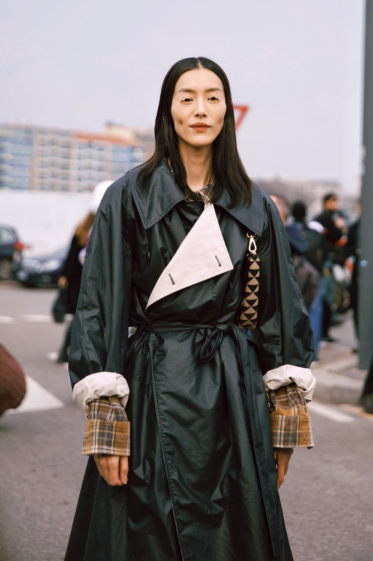 Picture of Liu Wen