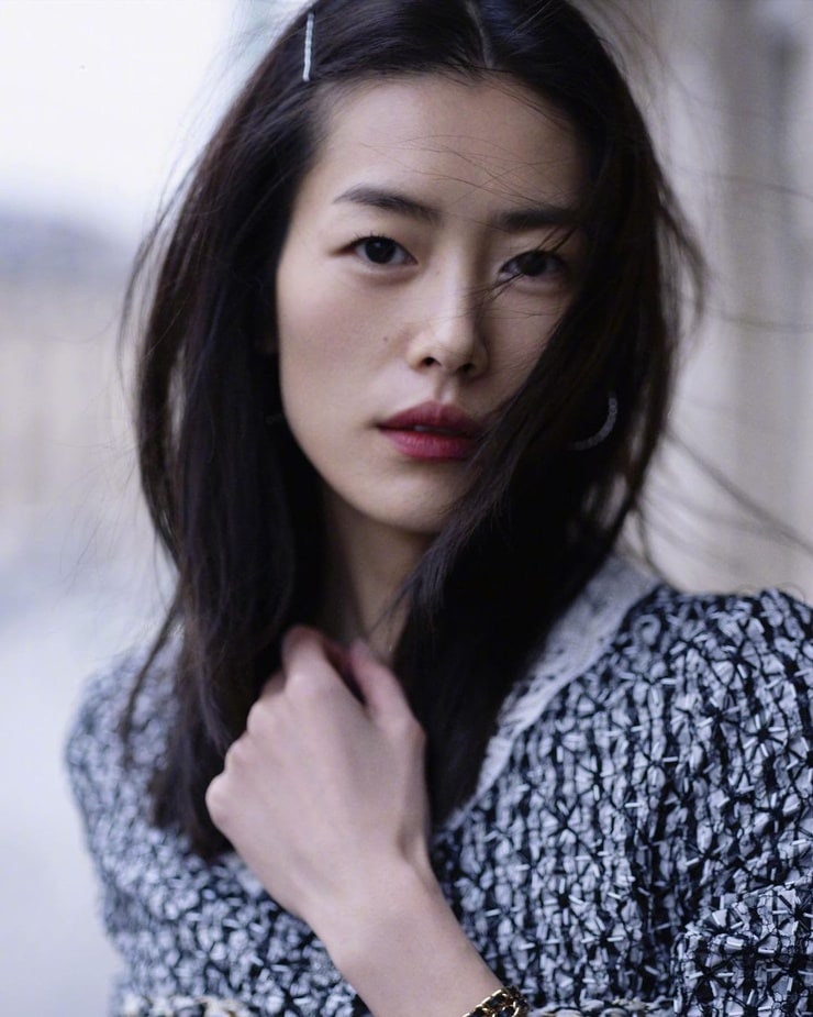 Picture of Liu Wen