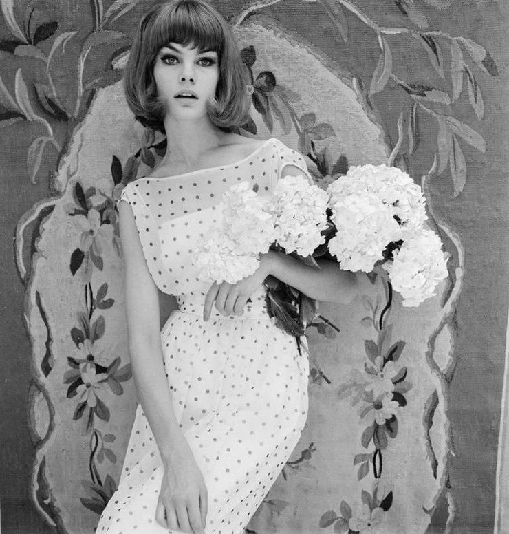 Picture of Jean Shrimpton