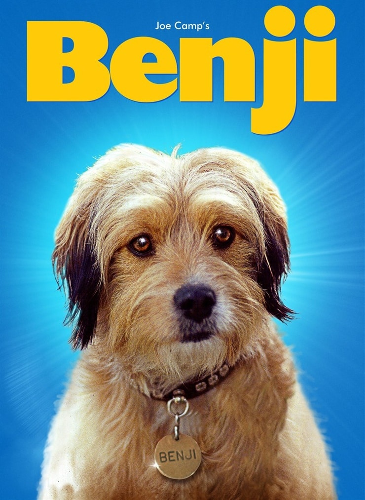 Picture of Benji