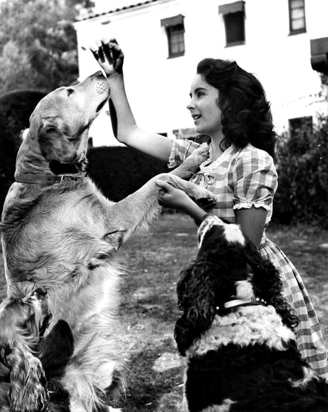 Elizabeth Taylor
