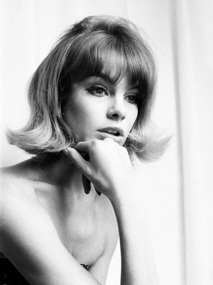 Jean Shrimpton picture