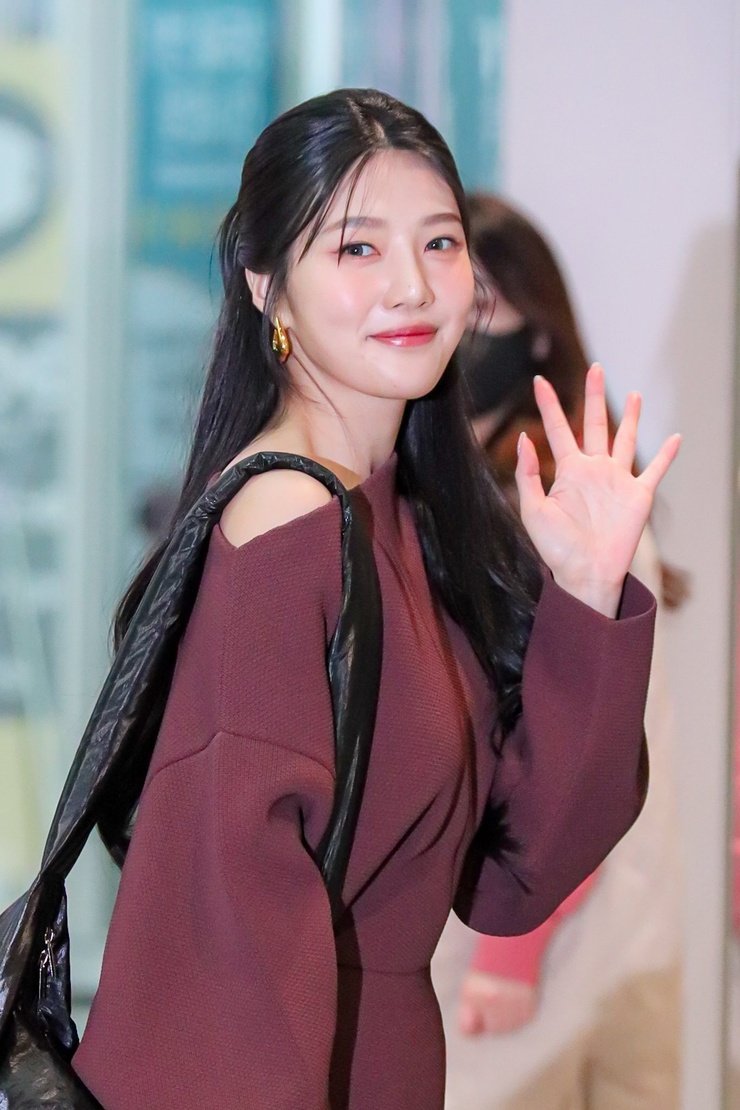 Joy (Park Soo Young)