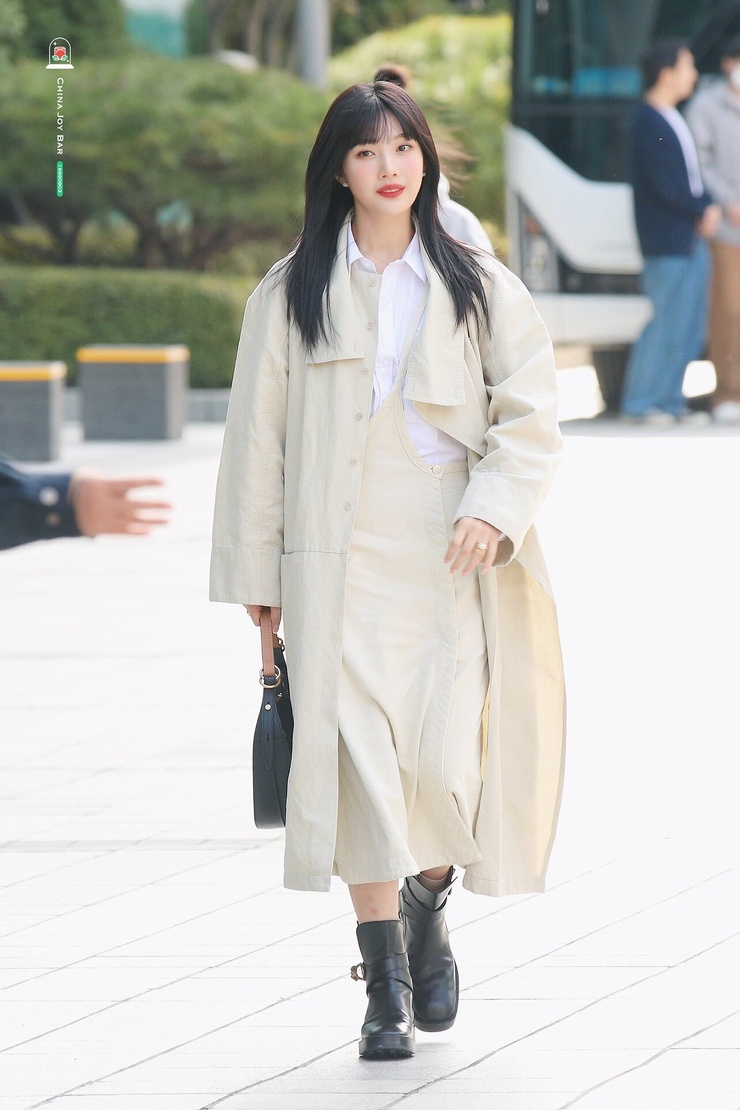 Joy (Park Soo Young)