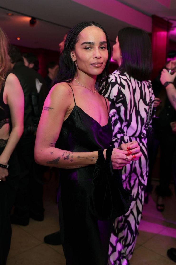 Zoe Kravitz Picture