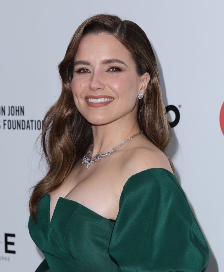 Picture of Sophia Bush