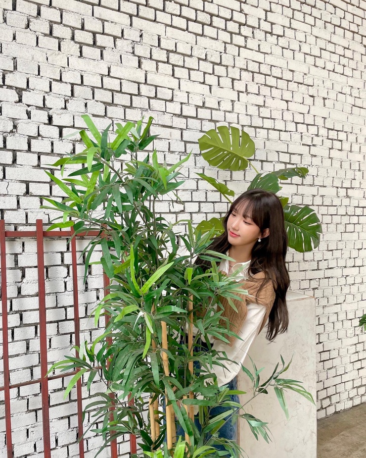 Su-ah Choi