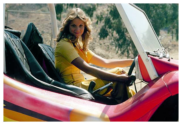 Wonderbug