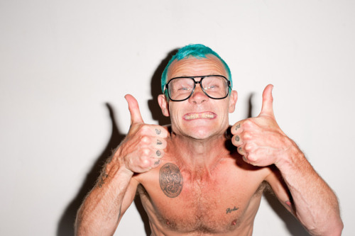 Flea Flea