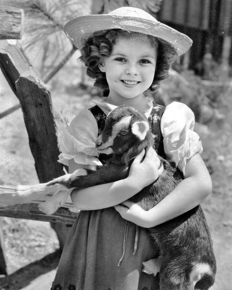 Image of shirley temple