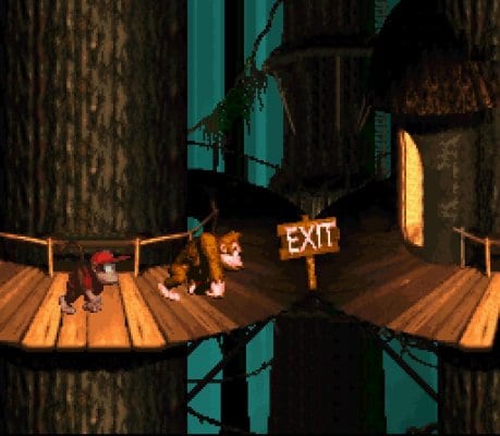 Donkey Kong Country