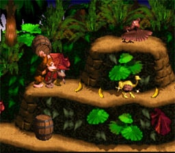 Donkey Kong Country