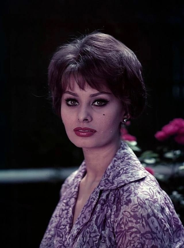 Picture of Sophia Loren