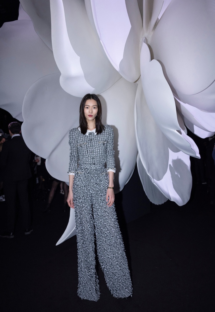 Liu Wen