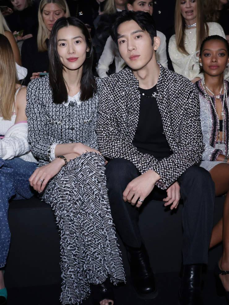 Liu Wen