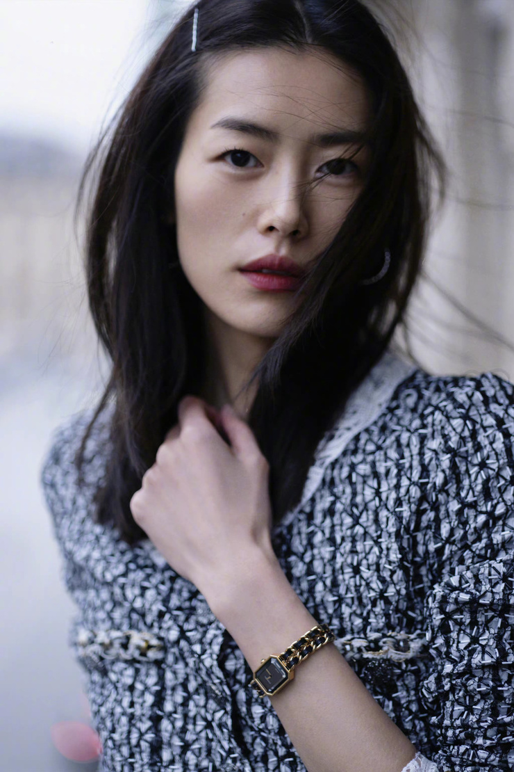 Liu Wen