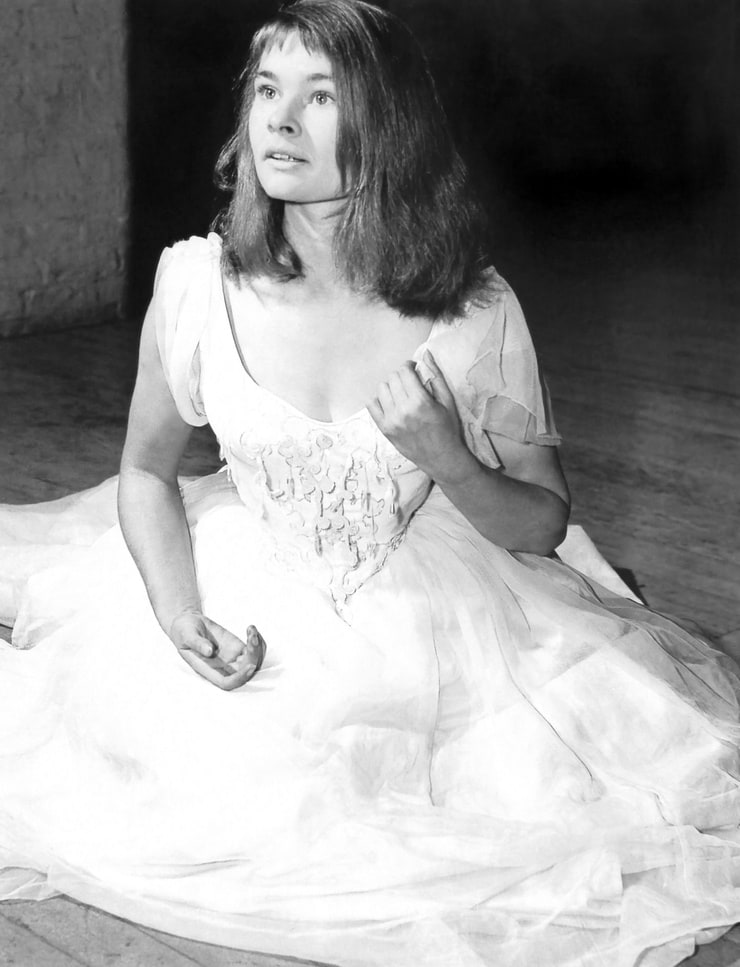 Judi Dench Judi Dench