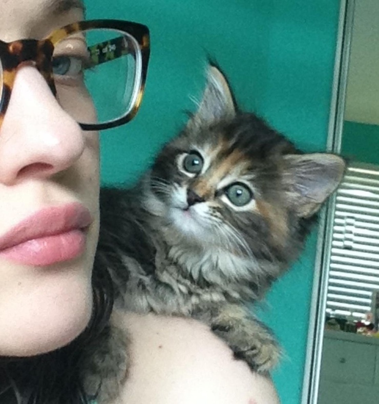 Kat Dennings Kat Dennings
