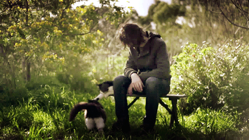Gotye Gotye