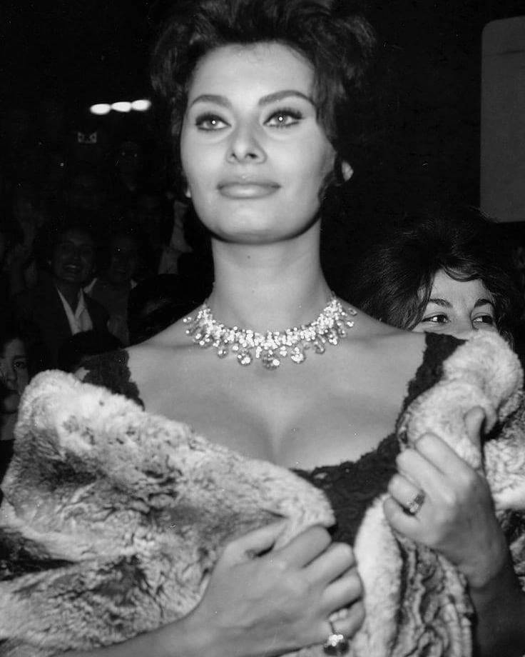Sophia Loren Sophia Loren