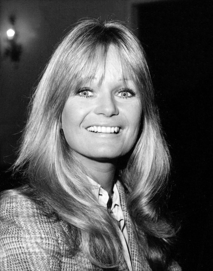 Picture of Valerie Perrine