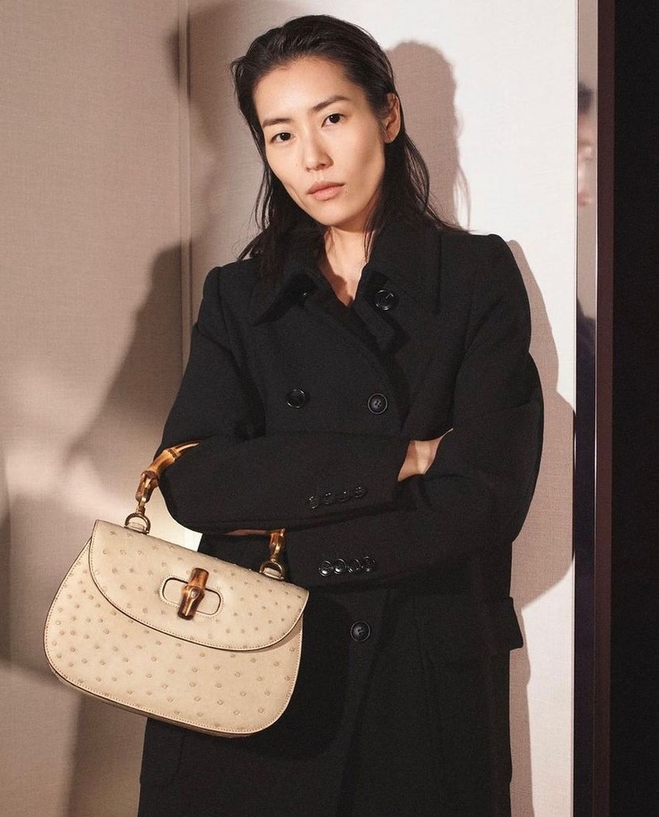 Liu Wen