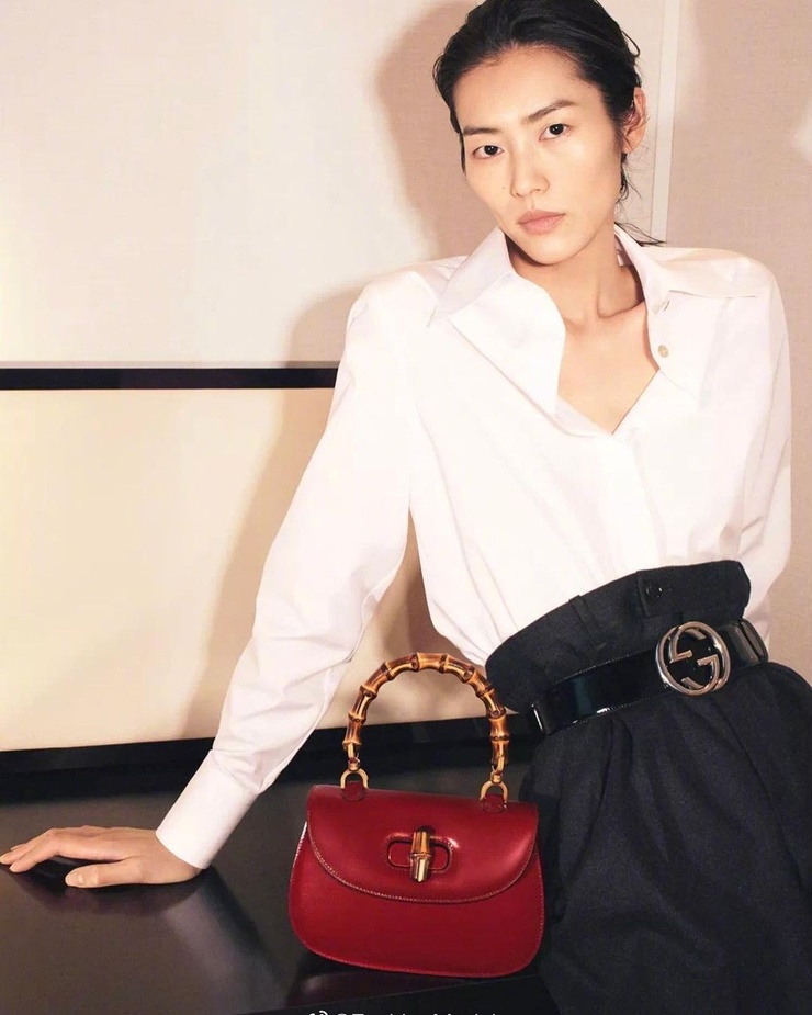 Liu Wen