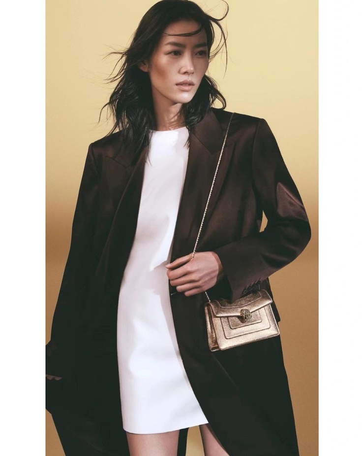 Liu Wen