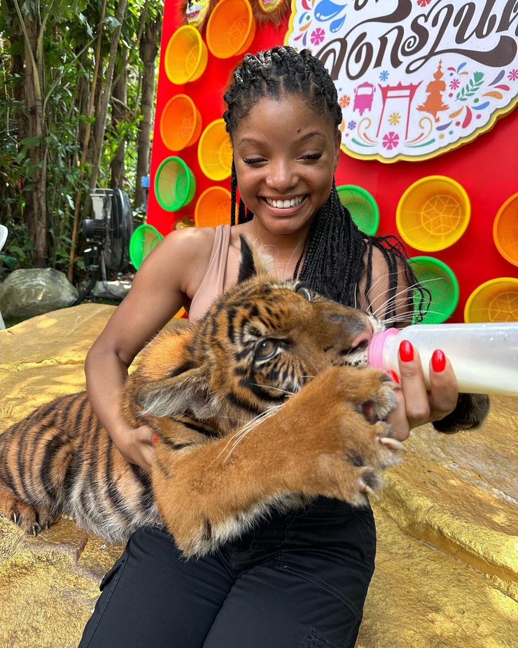 Halle Bailey