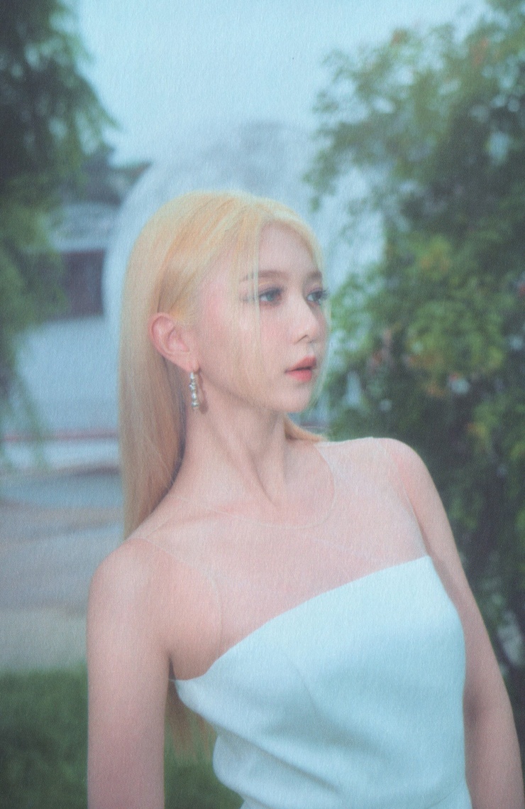 Dami