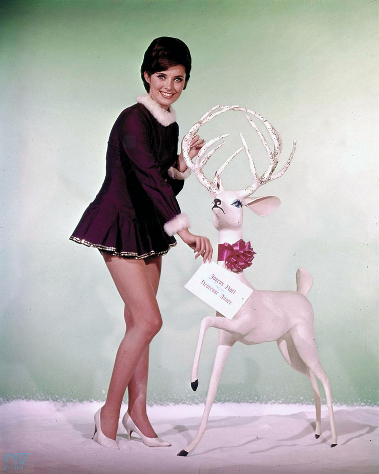 Beverly Adams Beverly Adams