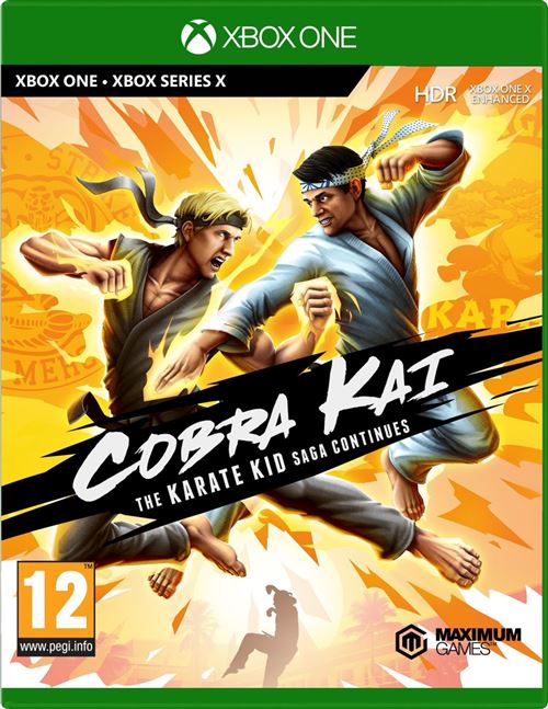 Cobra Kai: The Karate Kid Saga Continues
