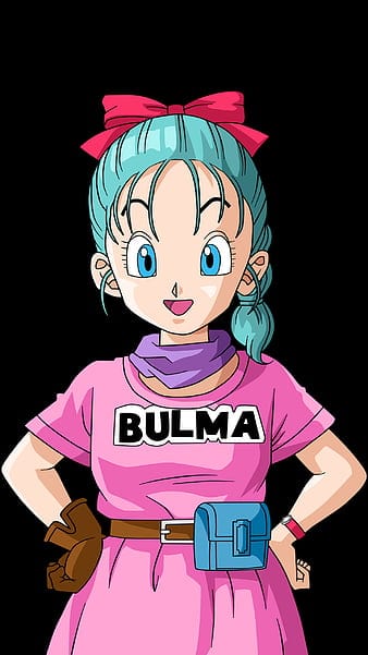 Bulma Brief
