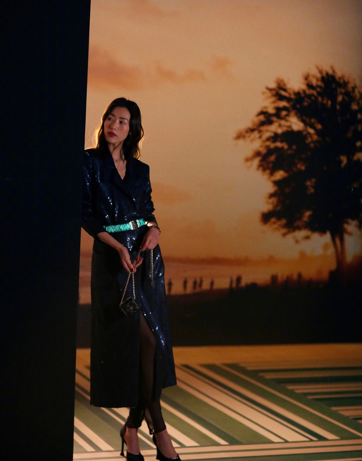 Liu Wen