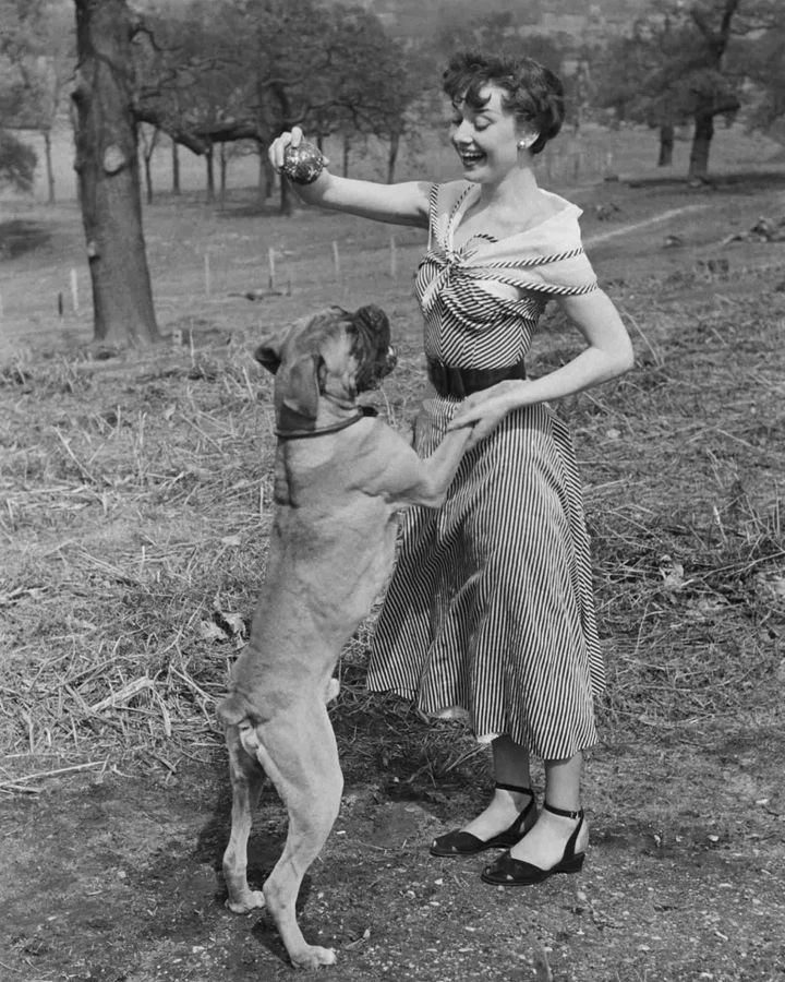 Audrey Hepburn