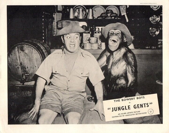 Jungle Gents