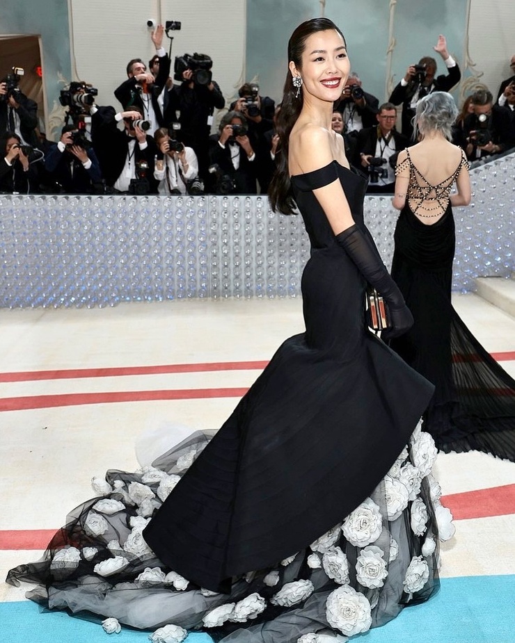 Liu Wen