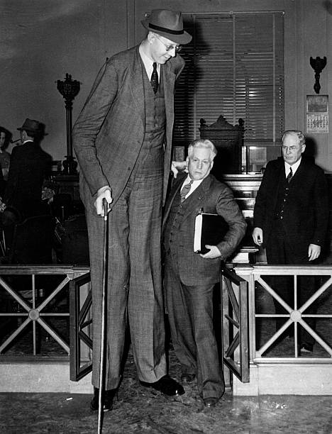 Robert Wadlow