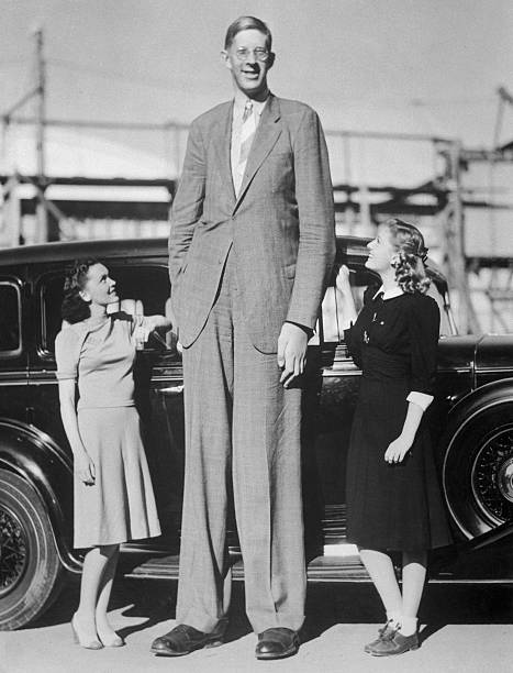 Maureen O'Sullivan, Robert Wadlow, Ann Morriss