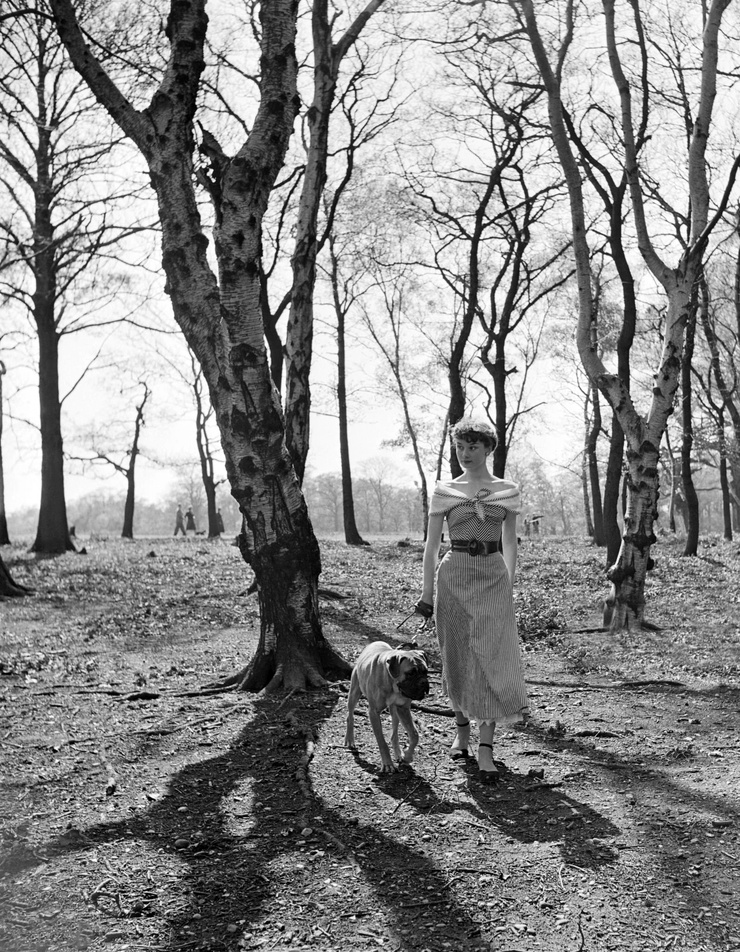 Audrey Hepburn Audrey Hepburn