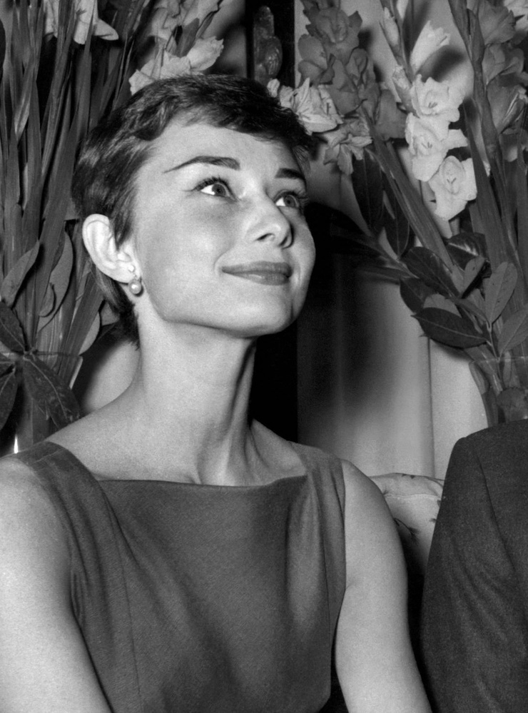 Audrey Hepburn Audrey Hepburn
