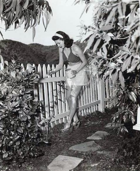 Ava Gardner