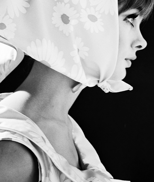 Jean Shrimpton