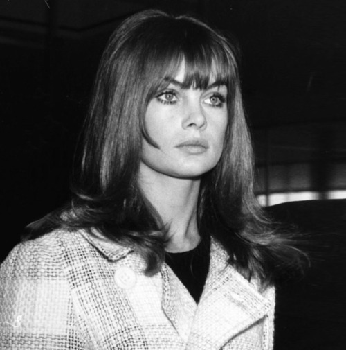 Jean Shrimpton Jean Shrimpton