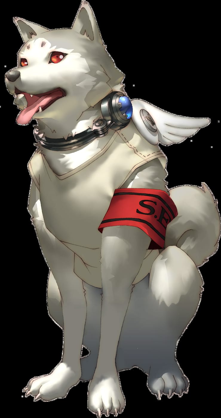 Picture of Koromaru