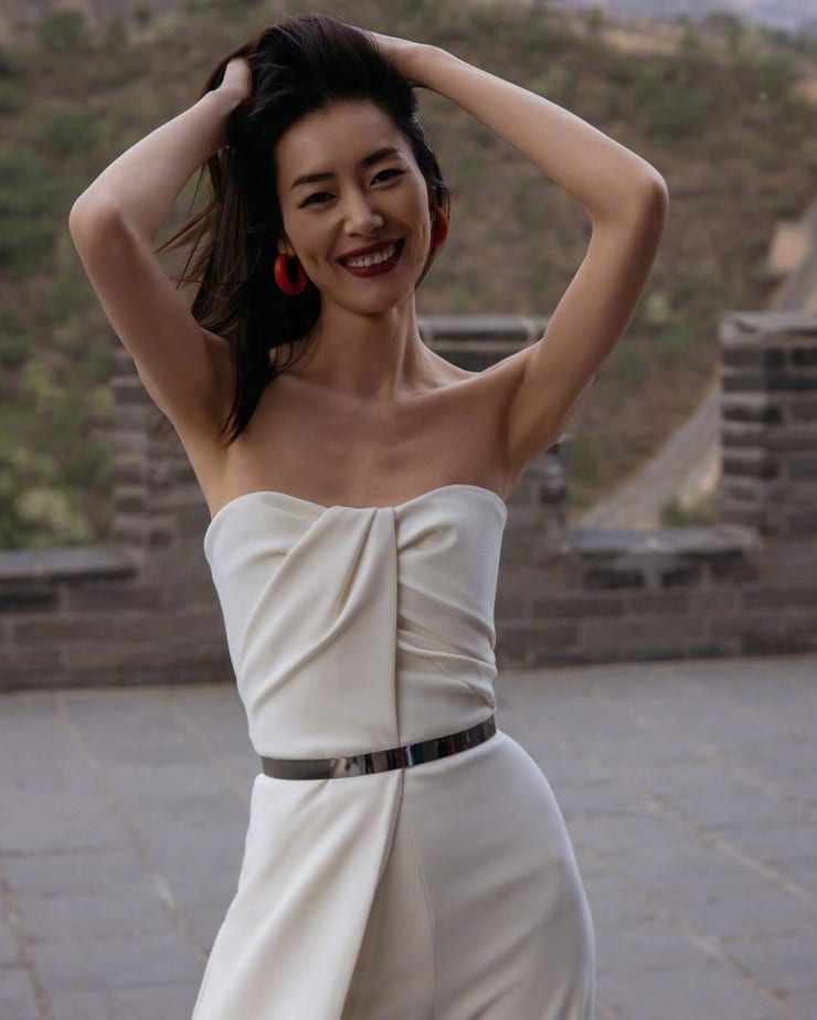 Liu Wen