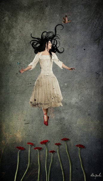 Amy Lee Amy Lee