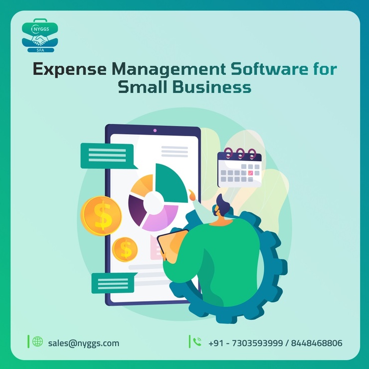 Sfa Expense Management Software In India 6048